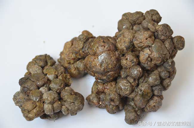 国产蜂胶与进口蜂胶,国产蜂胶进口蜂胶