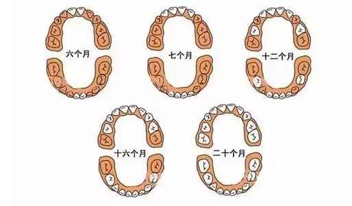 宝宝出牙期四个表现和缓解方法,宝宝出牙正确顺序症状及护理知识