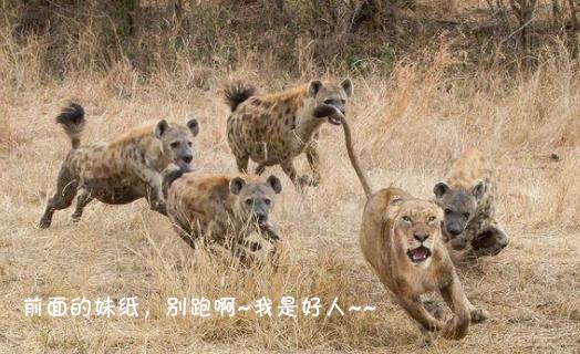 “掏肛”二哥继“平头哥”后又一位扛把子