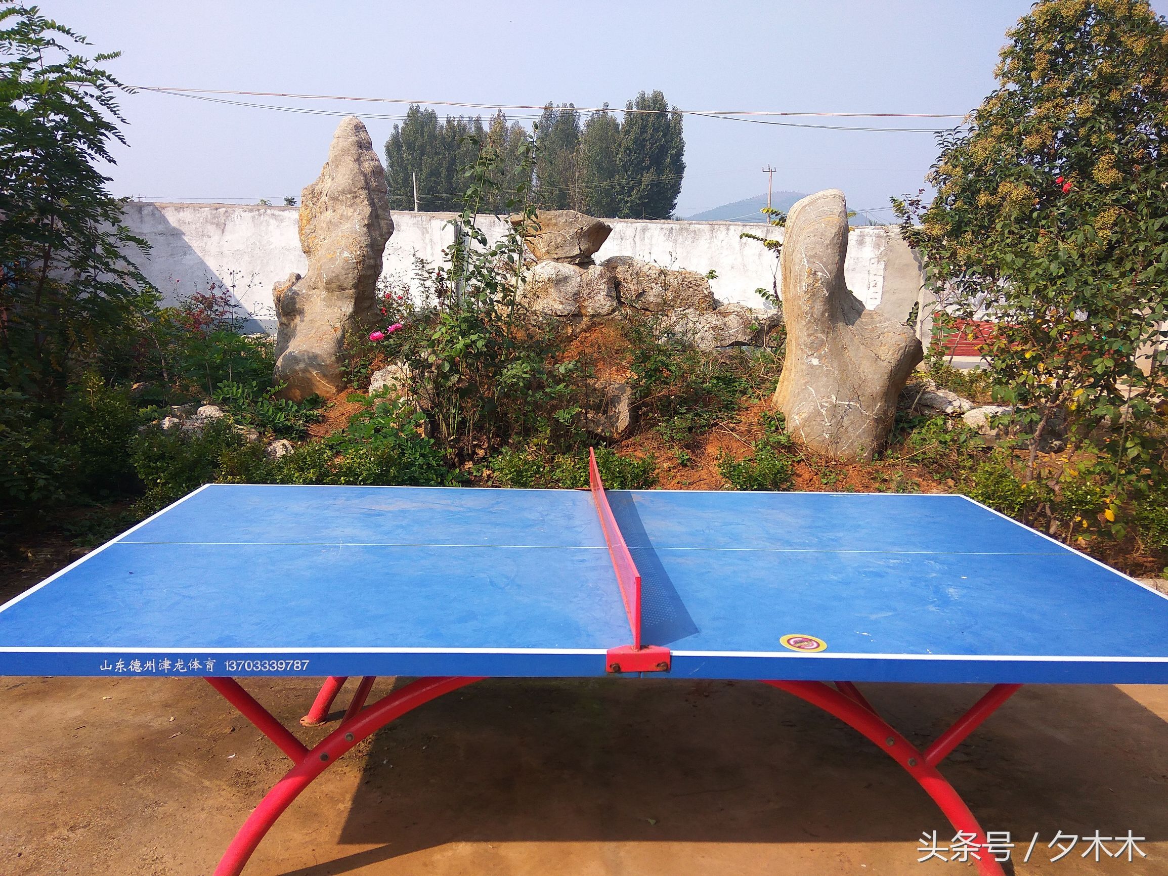 兰陵小学有哪些,兰陵小学开学最新通知