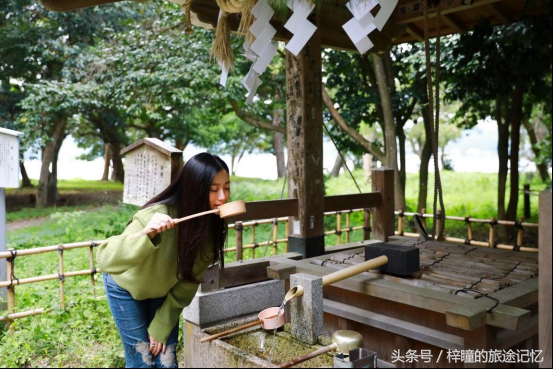 消消乐去旅游,消消乐萌萌团游戏
