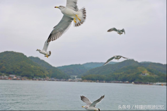 消消乐去旅游,消消乐萌萌团游戏
