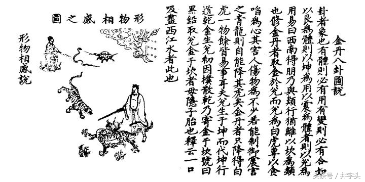 上阳子金丹大要全文,丹道秘传丹法二十四诀