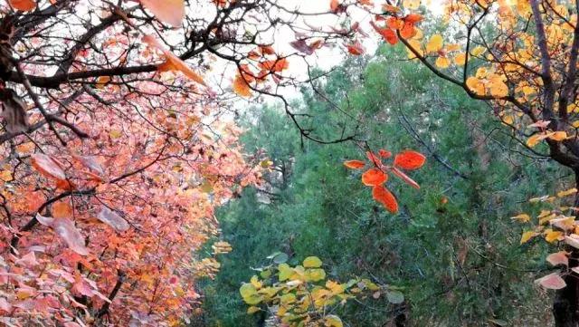 昌平公园的风景,北京昌平滨河免费公园