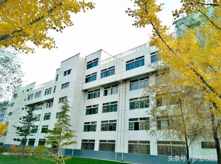 甘肃农业大学宣传片完整版,甘肃农业大学校园风景视频