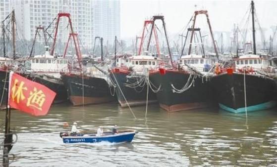 为什么大连海鲜出名营口海鲜呢,大连海鲜和青岛海鲜的区别