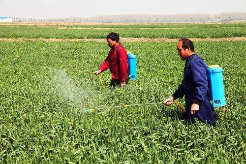 去除农药残留的小窍门靠谱不,2分钟去除农药