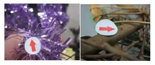 圣诞快到了要什么礼物,圣诞节什么时候开始准备圣诞树