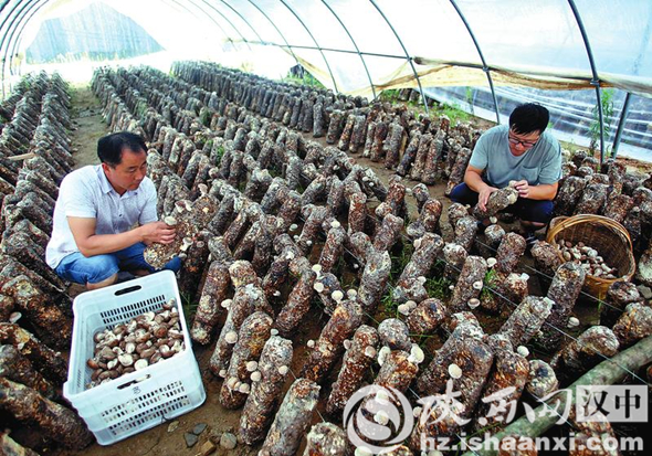 汉中上半年经济排名第几,汉中市一季度经济