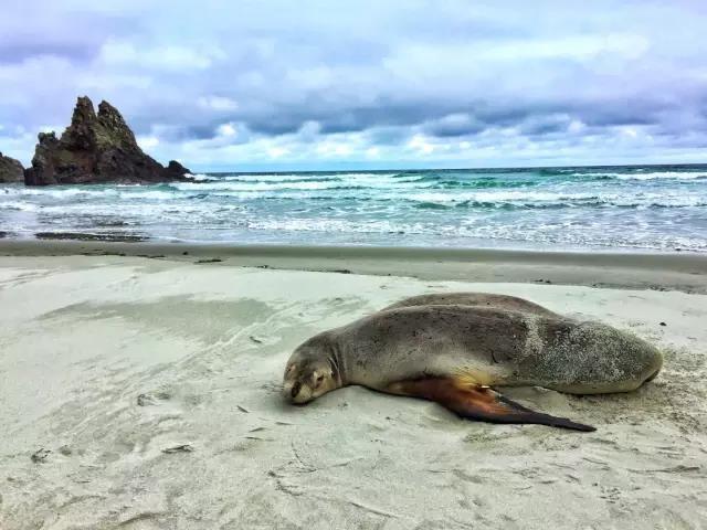 一个90后摄影师,一个90后的摄影师