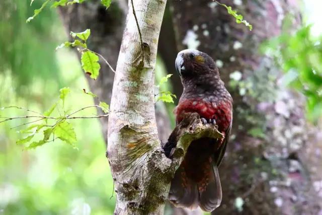 一个90后摄影师,一个90后的摄影师
