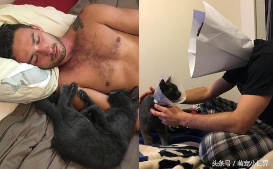 结扎后好忧伤，忧郁帅爸跟着戴头套，陪它度过猫生低潮