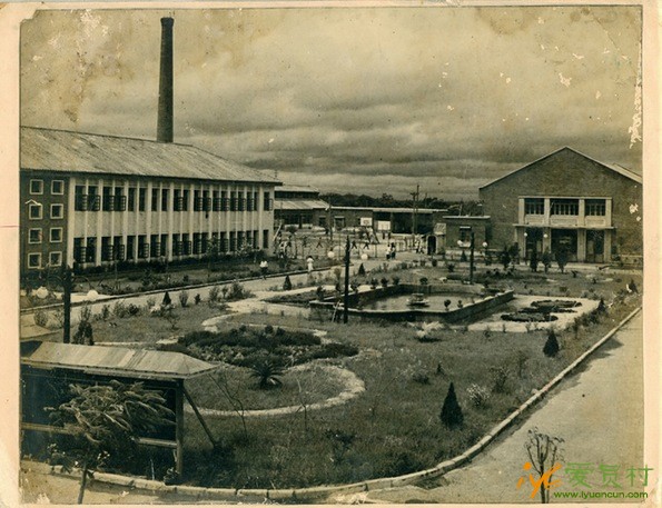 国内第一家罐头厂,广东罐头厂的回忆