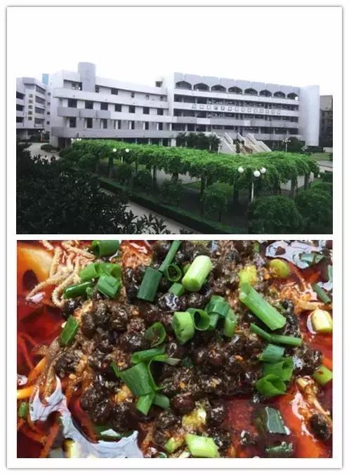 她从太古里的GUCCI出来后，钻进了对面这家苍蝇馆子！