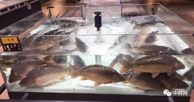 泉州超市水产招商,新鲜海鲜水产超市
