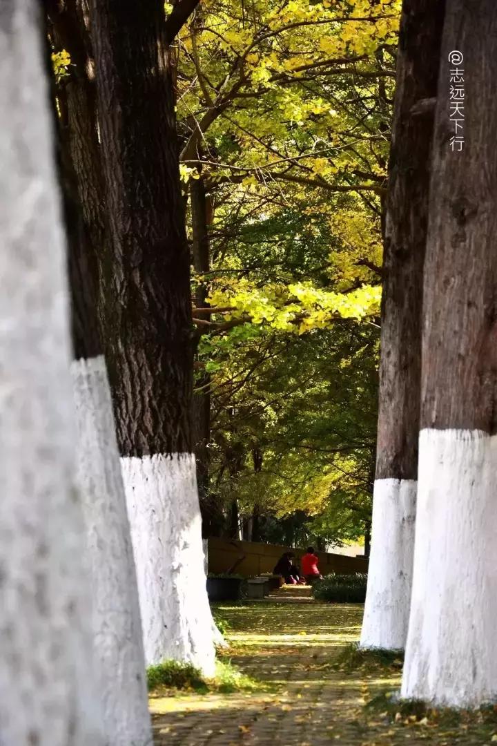 最美高校合集,最美211云大