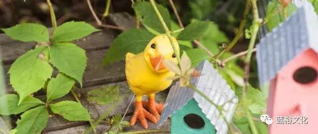 鏋楃撼鐜涘涔愬洯娓镐箰璁炬柦,鑺叞鏋楃撼鐜涘涔愬洯