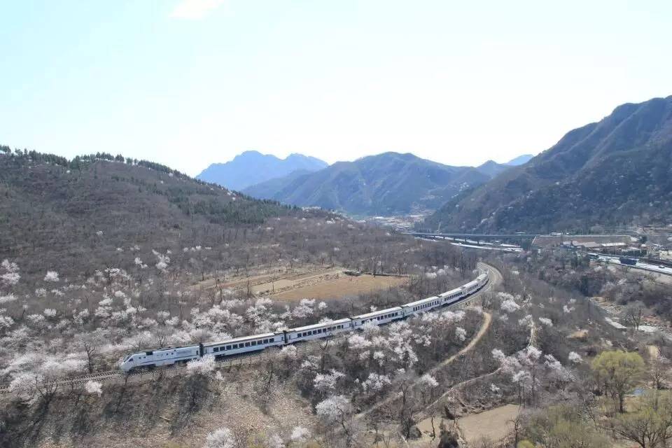 开往春天的列车图片唯美,开往春天的列车看图作文