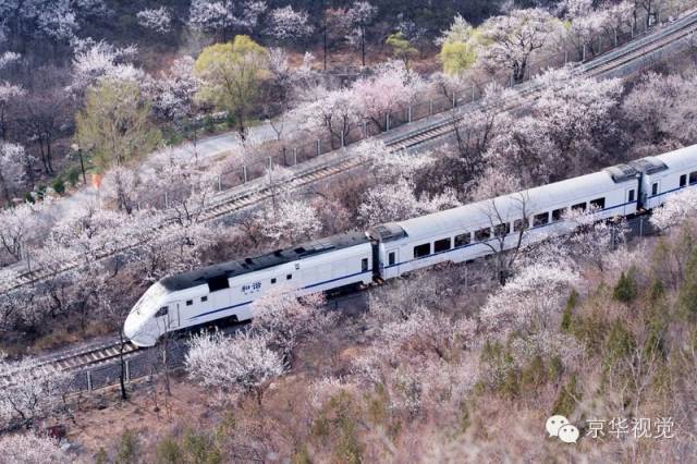 开往春天的列车图片唯美,开往春天的列车看图作文