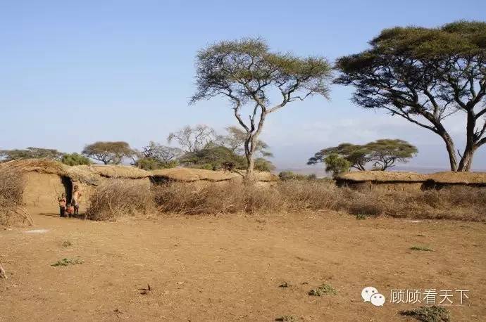 在大耳垂肩、牛粪洗脸、狮子畏惧的马赛人家做客