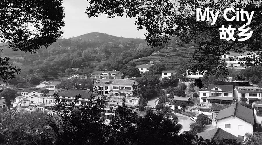 小众旅行箱大全,十大公认最好的旅行箱