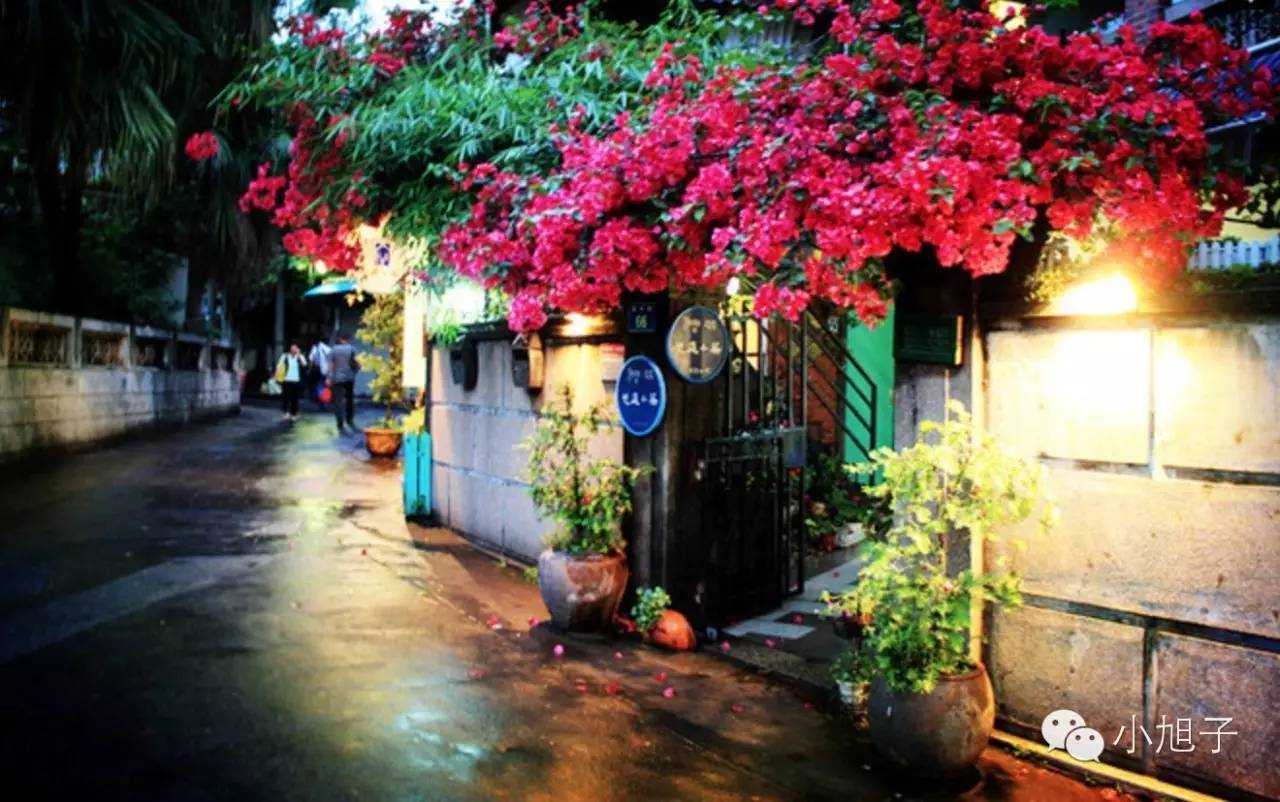 厦门清明两天一夜旅游,清明节厦门六日游旅游攻略