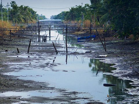 今年3月泰国严重“缺雨”或影响经济发展