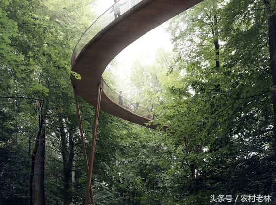 丹麦45米森林观景塔,世界十大顶级观景塔