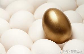 养蛋鸡和散养鸡哪个赚钱,2018养鸡10000只蛋鸡一年利润