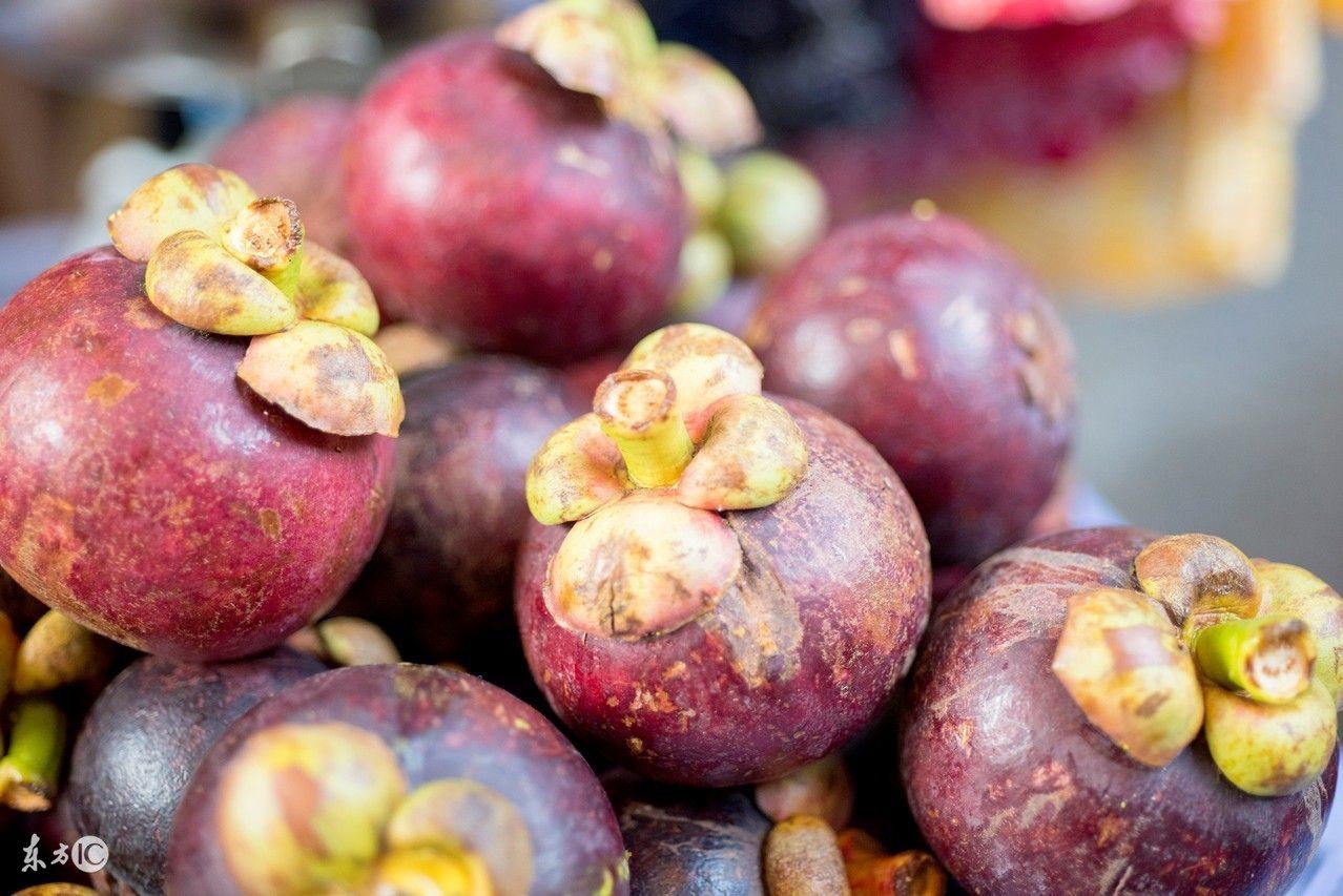 孕妇可以吃山竹吗要注意什么,孕妇可以吃山竹么