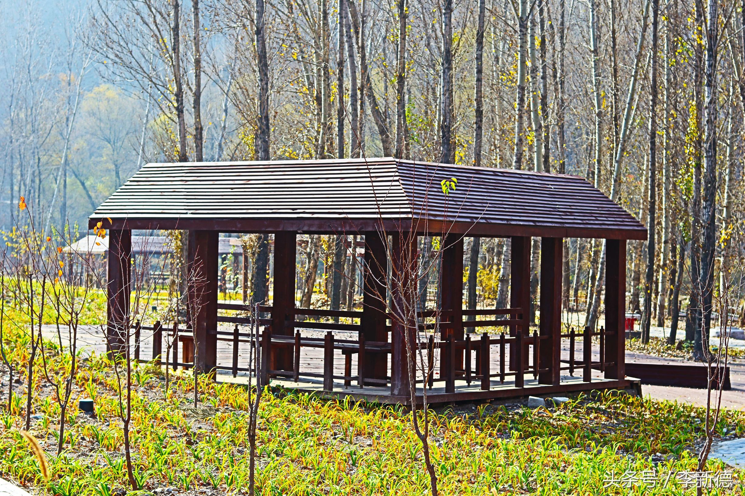 带着佳能相机去旅游图片,带着佳能r10去旅游