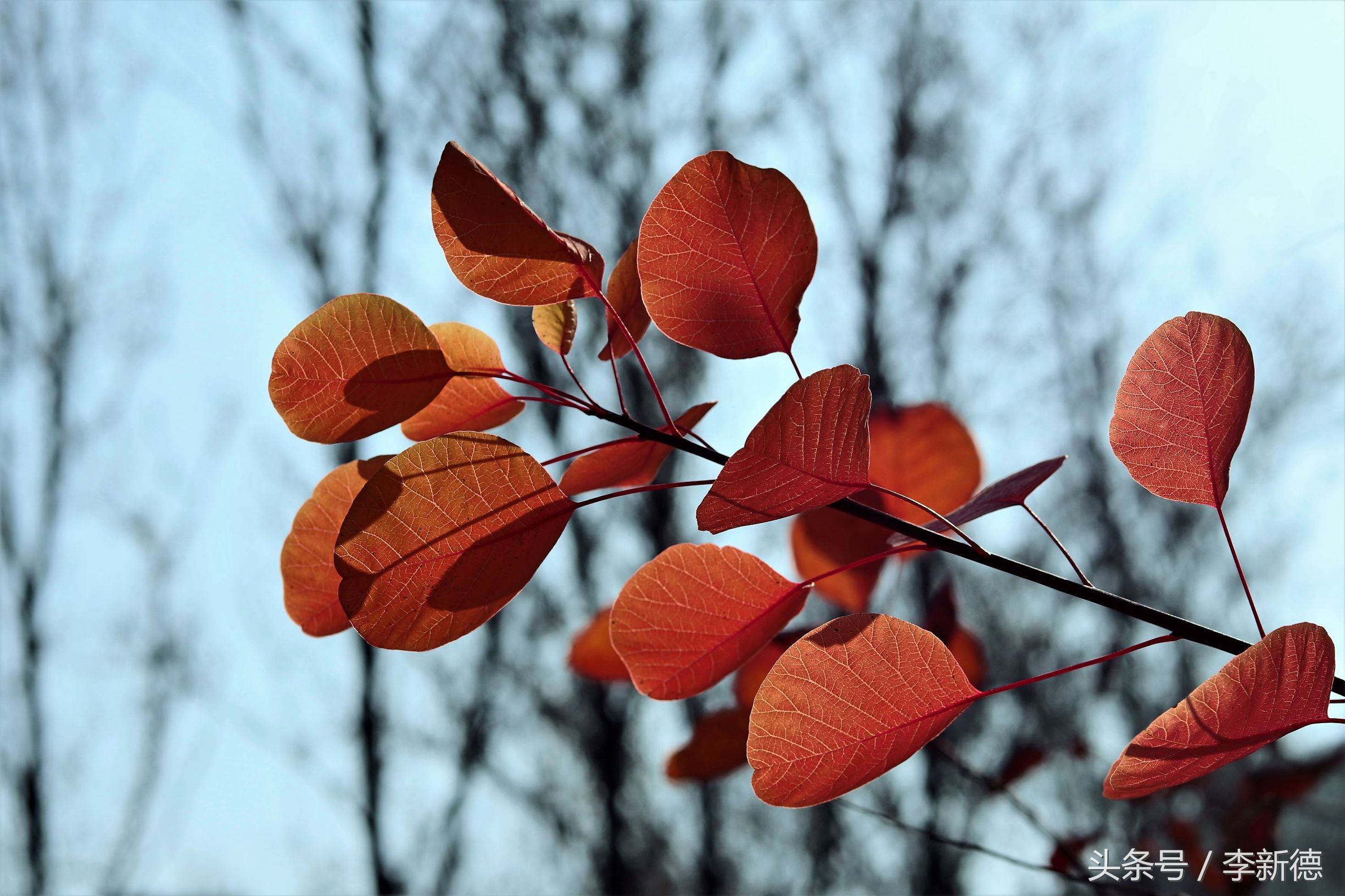带着佳能相机去旅游图片,带着佳能r10去旅游