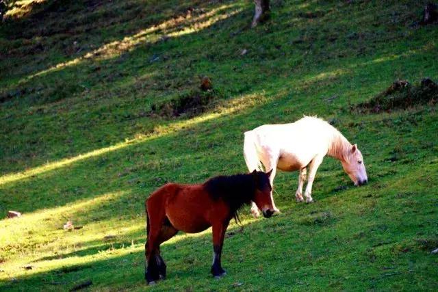 云龙太极之地完整视频,云南云龙太极
