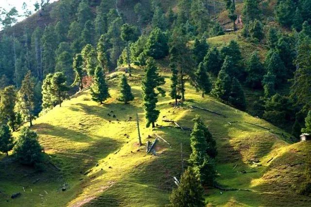 云龙太极之地完整视频,云南云龙太极