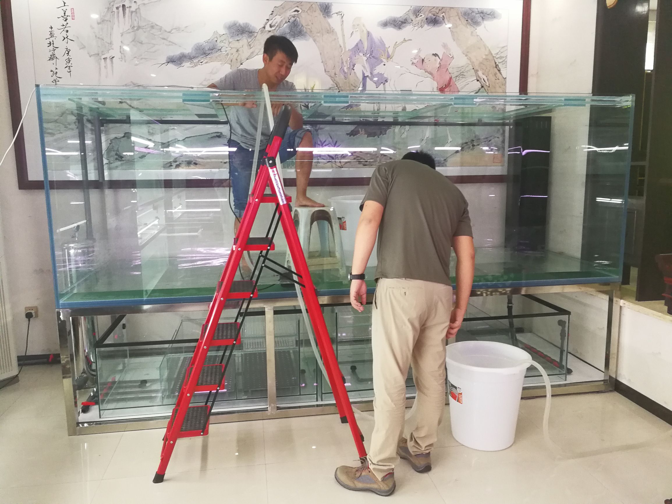 大墙鱼缸,40公分的缸养40的龙鱼