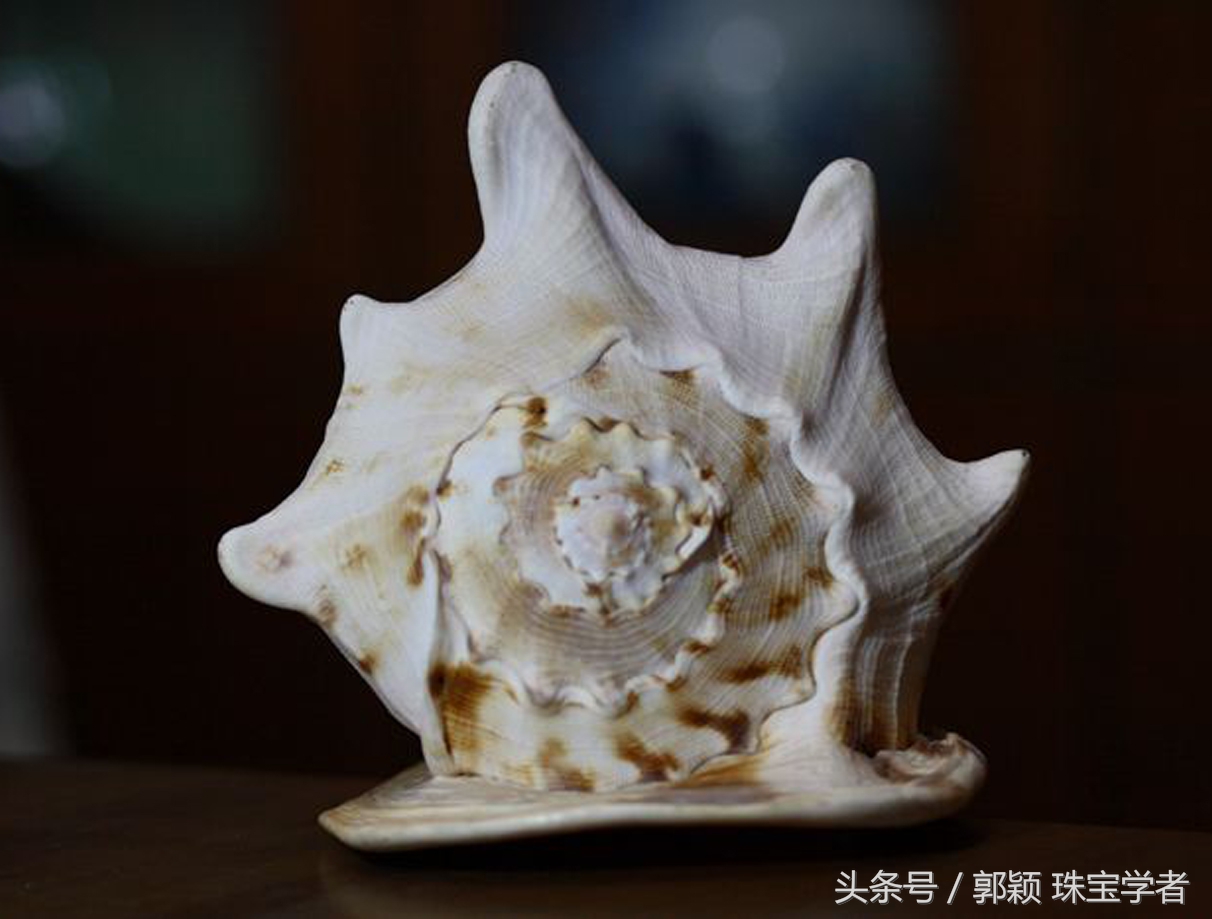 维多利亚时期珠宝首饰风格,维多利亚时期珠宝油画