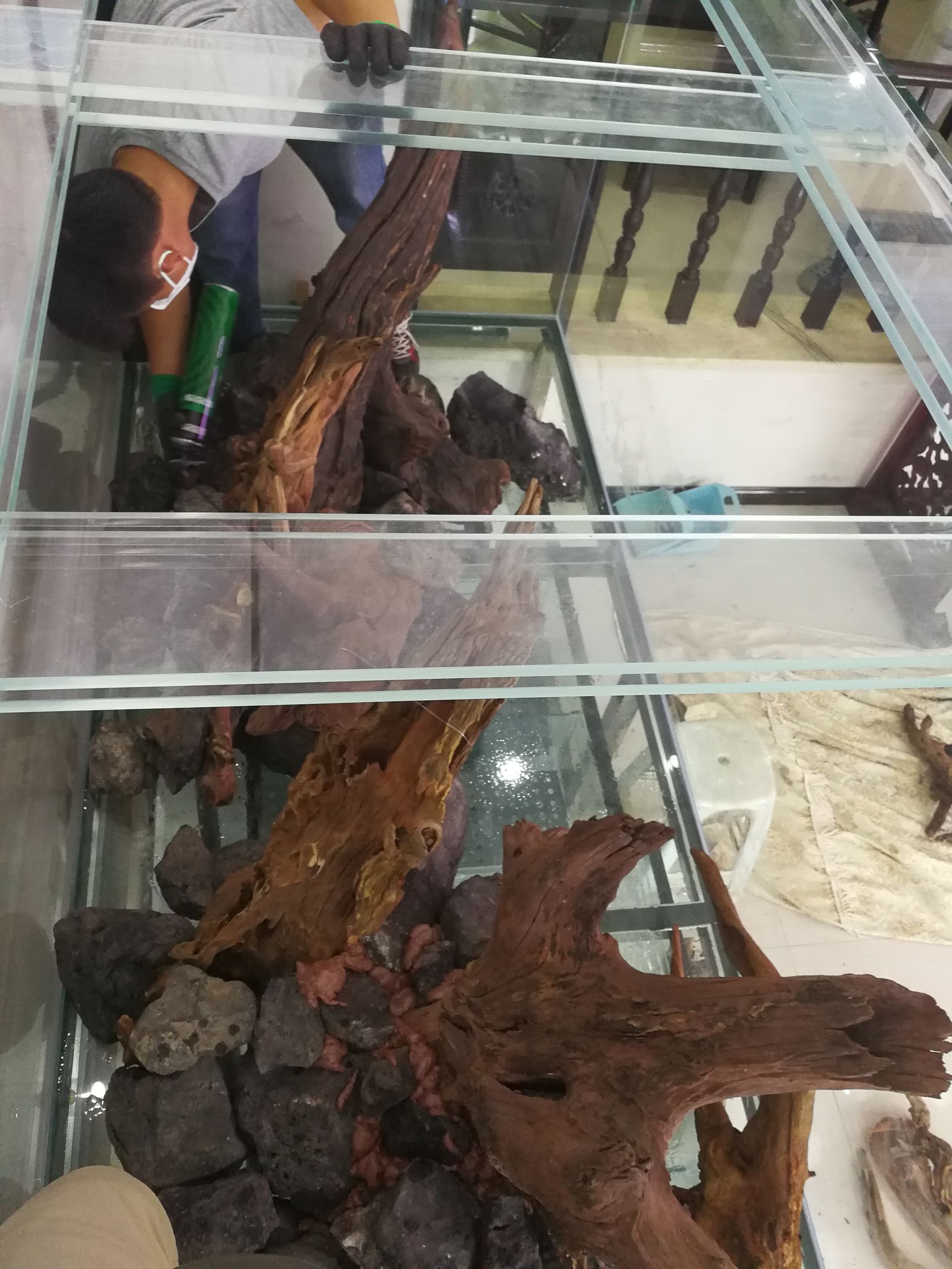 大墙鱼缸,40公分的缸养40的龙鱼