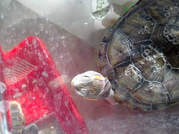 总结一些小病的治疗方法