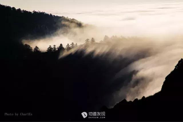 5.1热门景区免门票,五星旅游景点便宜