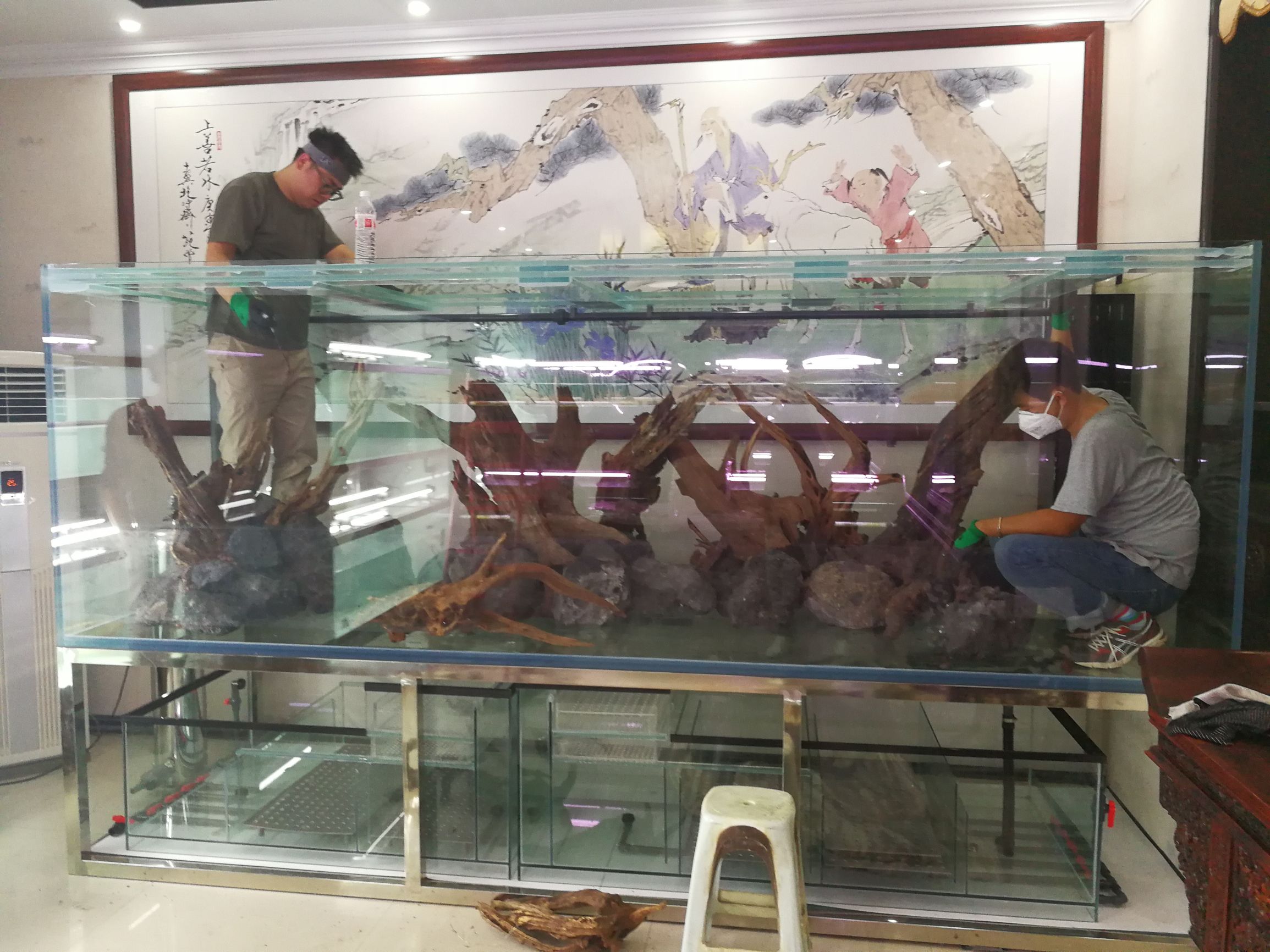 大墙鱼缸,40公分的缸养40的龙鱼