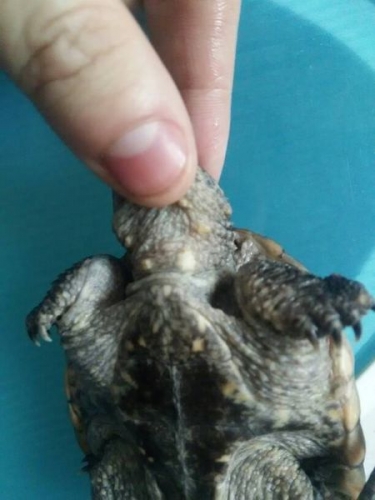 总结一些小病的治疗方法