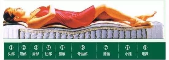 多人评测床垫怎么选择品牌,床垫免费试睡有什么品牌