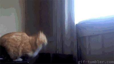 突围肥胖！肥胖杀死你的七种*器武**！