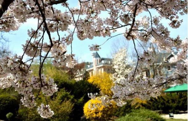 大连海滨旅游路攻略,大连市区中山西岗沙河口