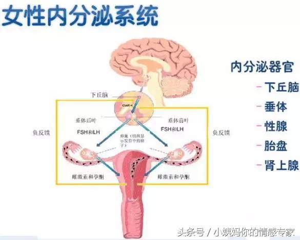 对付女朋友大姨妈的绝招,怎么对付大姨妈来了的人