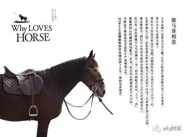 why品牌女包怎么样,why新款女包