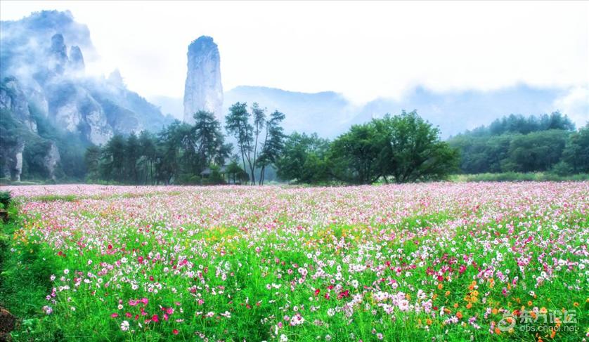 宁波秋天风景好的地方推荐,宁波秋天哪里有花海