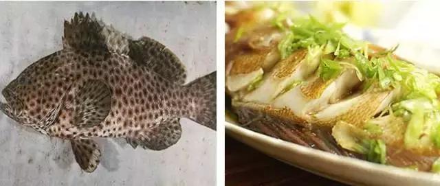 湛江美食海鲜一条街,中国海鲜美食之都湛江