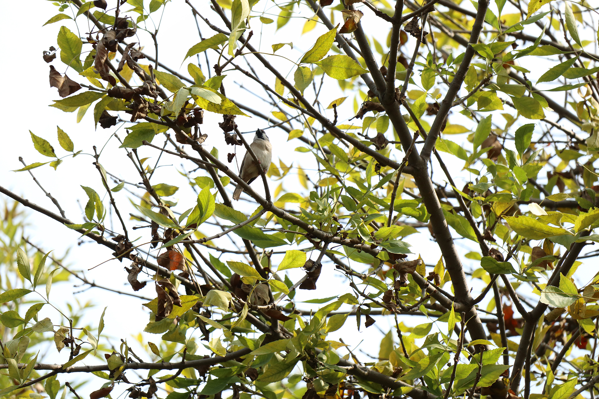 佳能eosm6二代拍照指南,佳能m6二代拍摄作品欣赏