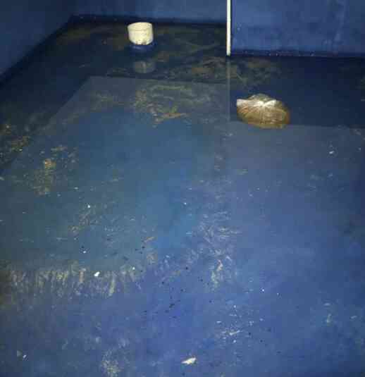 管家日志｜你拥有舒适的家，便是我的骄傲